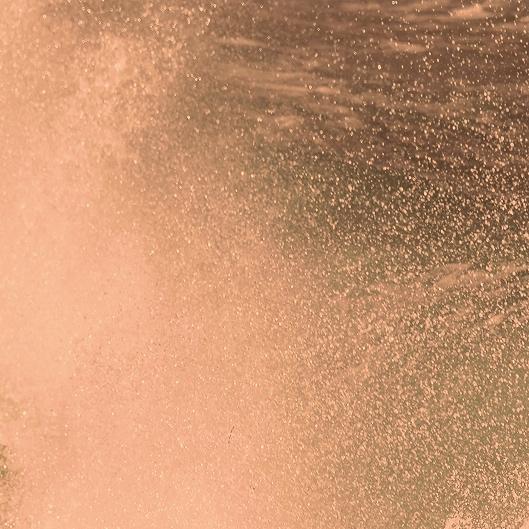 Transformation Treat